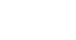 Synapse Data