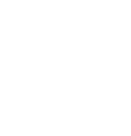 LedgerTech