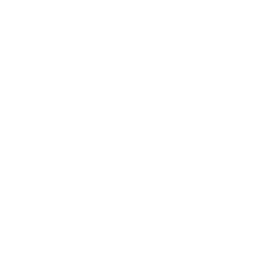 Nexus AI